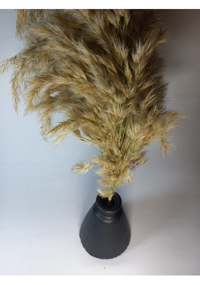 Pampas Vazosu Siyah