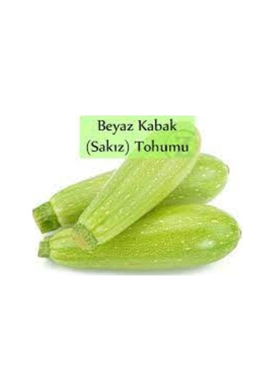 100 Adet Tohum Organik Taze Yeni Hasat Beyaz Kabak Tohumu Kalem Yeşil