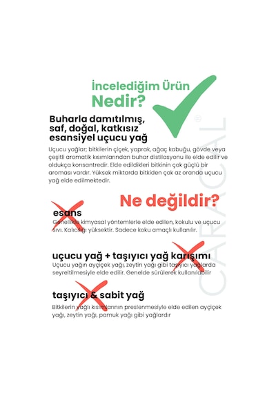 Caracal Saf Biberiye Yağı Doğal Biberiye Uçucu Yağı 30 ML