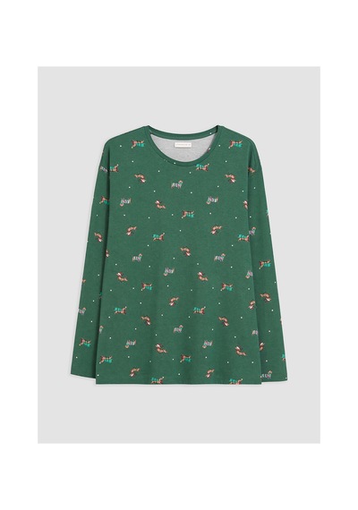 LC Waikiki Alıta Cıty Farkıyla Lcw Dream Yeşil Penye Desenli Uzun Kollu Kadın Pijama Takım Yesil - 929595091 Yesil LC Waikiki Alıta Cıty Farkıyla Lcw Dream Yeşil Penye Desenli Uzun Kollu Kadın Pijama Takım Yesil - 929595091 Yesil