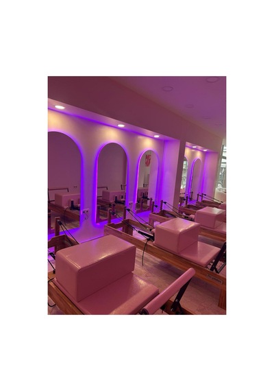 Tower Reformer Pembe Kasa Özel Seri 1. Sınıf Kayın Ağacı Deri Renk Opsiyonel