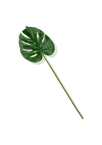 Cihan Çiçekçilik Yapay Tek Dal Monstera Yaprağı 68 Cm Yeşil
