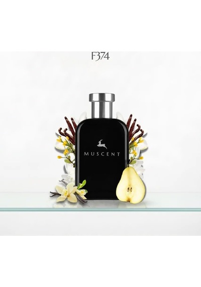 F374 Pparadoks 50 Ml