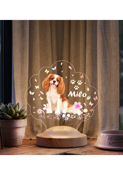 Köpek Fotoğraflı Led Lamba, Kişiye Özel Fotoğraf Ve İsimli Evcil Hayvan Temalı Lamba Hediye Tekli Foto Köpek