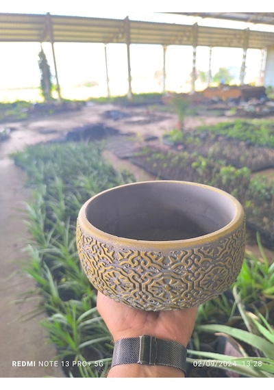 Altın Desen Beton Bonsai Aranjman Ve Orkide Saksısı