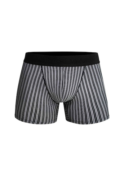Doreanse Erkek Modal Çizgi Desenli Normal Paça Boxer 1866 (539992304)