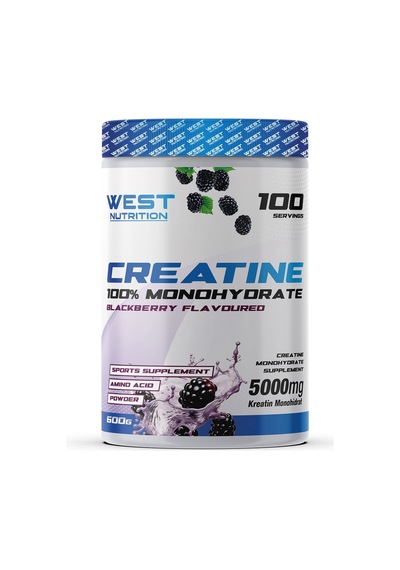 West Nutrition Kreatin Monohidrat 100 Servis Aromalı + Hediye