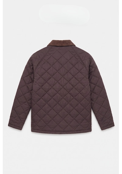 Baselco Retro Kadife Yaka Kapitone Ceket/mont Kahverengi