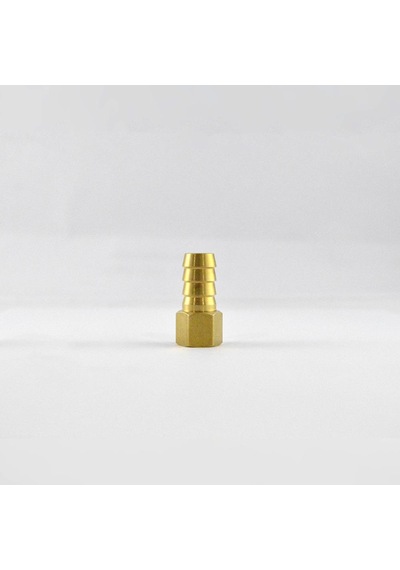 Brio Hava Hortum Dişi Rekoru 1/4 12mm 2 Adet 1/4