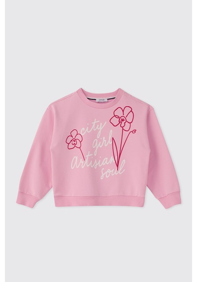 Panço Kız Çocuk Nakışlı Pembe Sweatshirt 2611gk08015