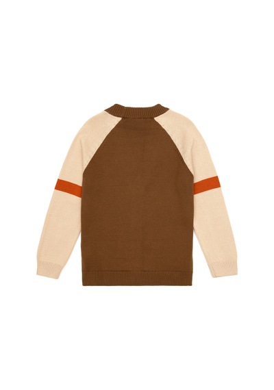 U.S. Polo Assn. Erkek Çocuk Haki Hırka Triko 50317146-vr027