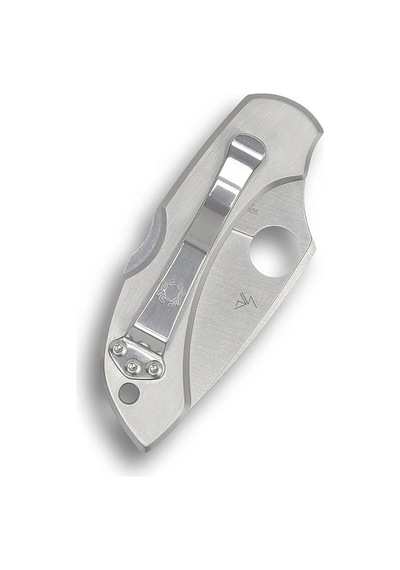 Spyderco Dragonfly Stainless Plainedge Kamp Çakı Gümüş