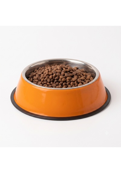 2 Adet Paslanmaz Çelik Kaymaz Taban Turuncu Kedi Ve Köpek Mama Kabı - Küçük Boy 13 Cm - 300 Ml