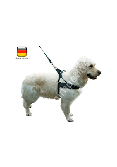Köpek Bel Tasması Siyah Norveç Tipi 80 - 100 Cm Siyah