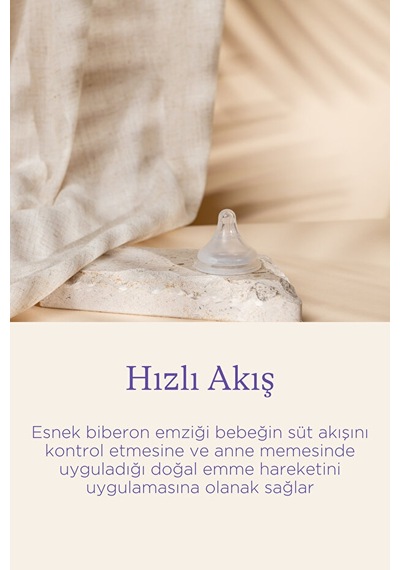 Lansinoh® NaturalWave® 2'li Biberon Emziği Hızlı Akışlı (6 Ay+)