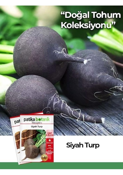 500 Adet Siyah Turp Tohumu