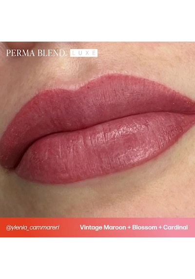Perma Blend Luxe Cardinal Kalıcı Makyaj Dudak Pigmenti 15ml