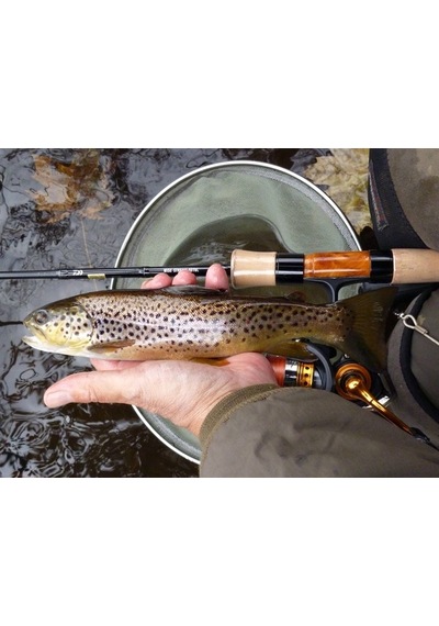 Daiwa Wise Stream 168cm 2-9gr Teleskobik Alabalık Olta Kamışı