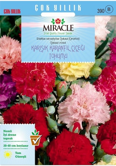 Miracle Chabaud Mixed Karışık Renkli Karanfil Çiçeği Tohumu 190