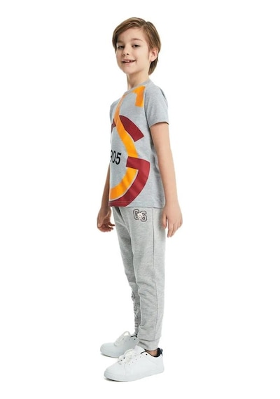 Galatasaray Büyük Logolu Çocuk Tee Gri T-shirt Gri