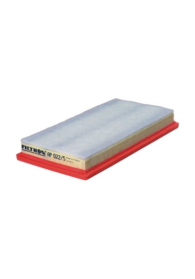 Filtron Hava Filtresi AP022/5