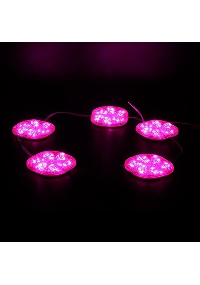 Powermaster Pm-14709 12 Volt 3 Watt Pembe Sabit 6565-2835 Modül Led 65x65x12mm