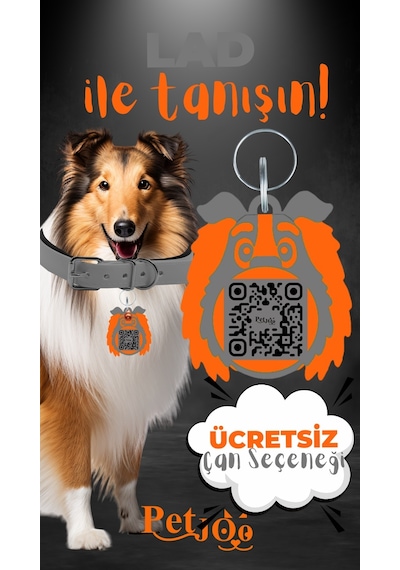 Petjoo 23.Lad Turuncu-Gri Qr'lı Köpek Künyesi