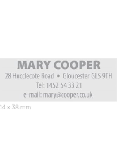 Colop Prınter C20 Mavi Kasa Mavi Keçe - 14 x 38 MM