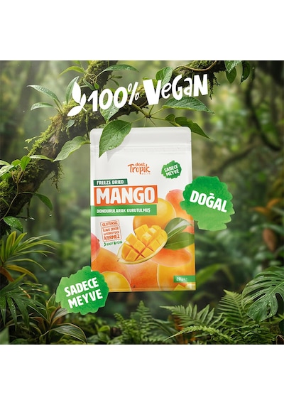 Dondurularak Kurutulmuş Mango 20 G Freeze Dried Meyve Cipsi Çıtır Meyve Kurusu 2 Adet