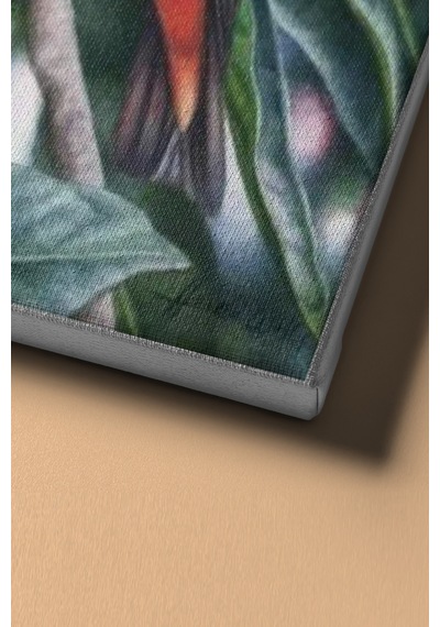 Webstyle Sayılarla Boyama Seti Kasnaklı Daldaki Kuş 40 X 50 Cm