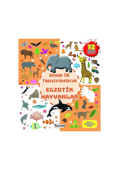 Egzotik Hayvanlar - Benim İlk Yapıştırmalarım- Teleskop Popüler Bilim