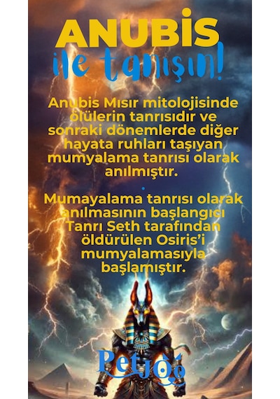Petjoo 30.Anubis Mavi-Sarı Qr'lı Köpek Künyesi