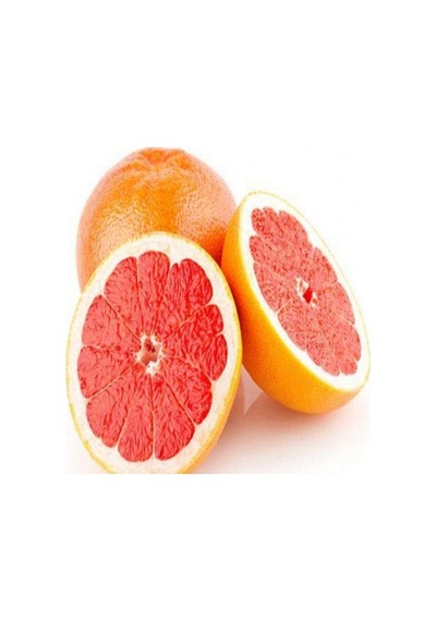 Tüplü Fidan Greyfurt Fidanı