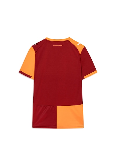 Puma Galatasaray 25/26 Erkek İç Saha Forması 779809 01 Kırmızı