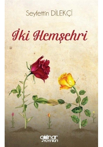 İki Hemşehri - Seyfettin Dilekçi - Gülnar Yayınları