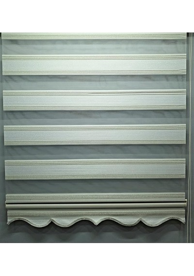 Ayrex Pliseli Simli Renk Geçişli Modern Stor Zebra Perde Mz281 100x200 Genel