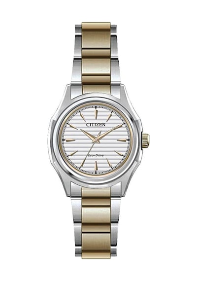 Citizen Fe2116-85a Eco Drive Kadın Kol Saati Gri