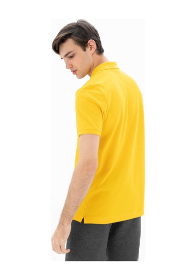 AR-MA Arma Erkek %95 Pamuk Polo Yaka Regular Fit T-shirt Y25374302501 Sarı-s2 Sarı