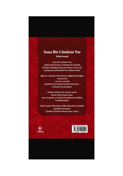 Sana Bir Cümlem Var - 890234313