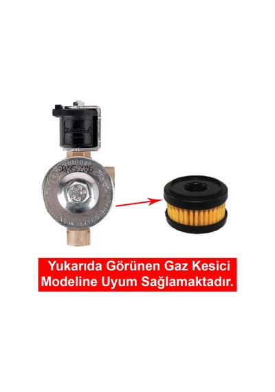 Zavoli Gaz Kesici Filtre 2 Adet/zavoli Gaz Kesici İç Filtresi 2 Adetdir.
