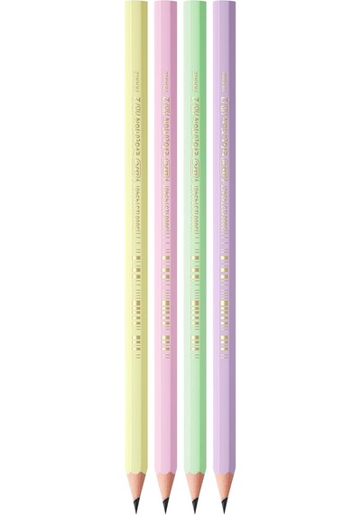 Ayrex Bıc Evolution Pastel Kurşun Kalem, 12'li Kutu, Kıymık Oluşturmaz, Çiğnemeye Karşı Dayanıklı, Kolay Açı Genel