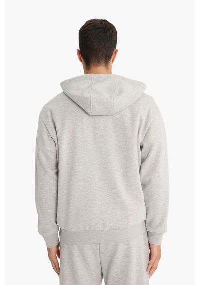 Defacto - Relax Fit Kapüşonlu İçi Yumuşak Tüylü Basic Düz Cepli Kalın Fermuarlı Sweatshirt D7599AX25SP Gri Defacto - Relax Fit Kapüşonlu İçi Yumuşak Tüylü Basic Düz Cepli Kalın Fermuarlı Sweatshirt D7599AX25SP Gri