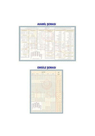Avamil ve Emsile Şemaları Renkli (İki Şema Birarada Set) / Kol...