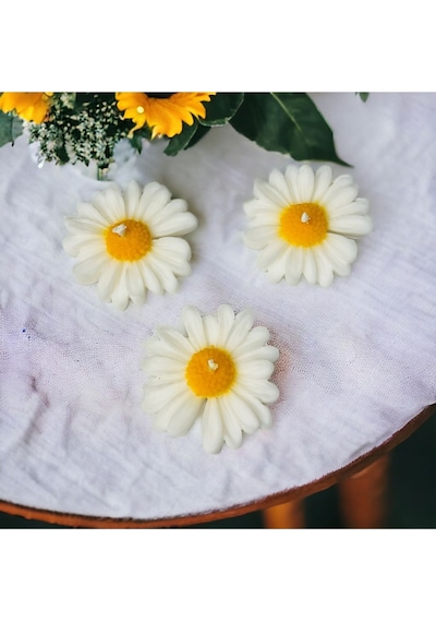 Bernami Biblo Pinterest 3 Lü Papatya Mum, Papatya Soya Mumu