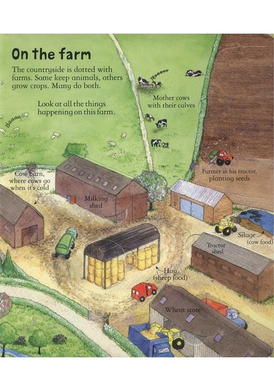 Look Inside A Farm - Usborne