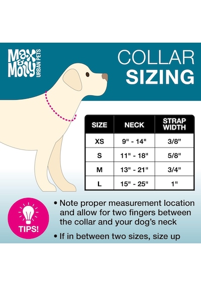 Max & Molly Urban Pets Original Serisi Akıllı Künyeli Köpek Boyun Tasması S, Denizci
