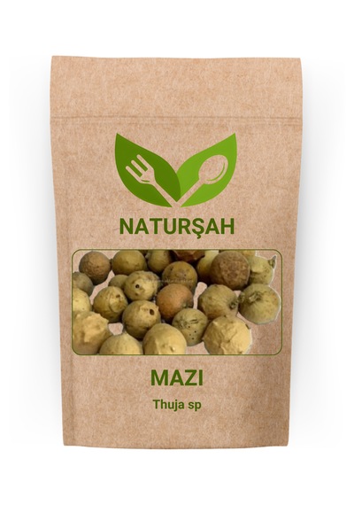 Naturşah Mazı Thuja Sp 50 Gr
