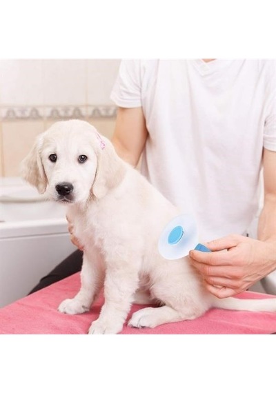 Büro Ev Evcil Hayvanı İçin Kedi Köpek Tüy Toplar Temizlik Mavi Saplı Tarak