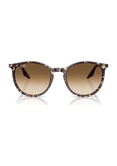 Ray-Ban Rb 2204 143151 51 Erkek Güneş Gözlüğü Siyah