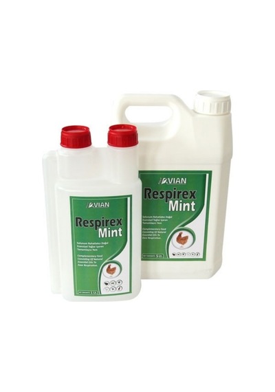 Royal Respirex Mint 1 L Kanatlılarda Solunum Güçlüğü Nefes Darlığı Balgam Söktürücü